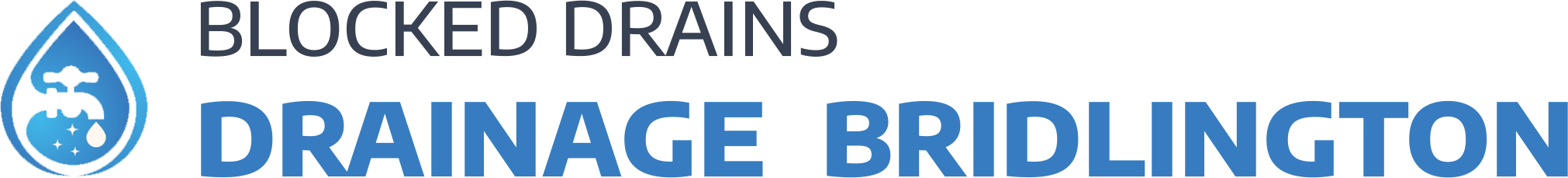 website logo